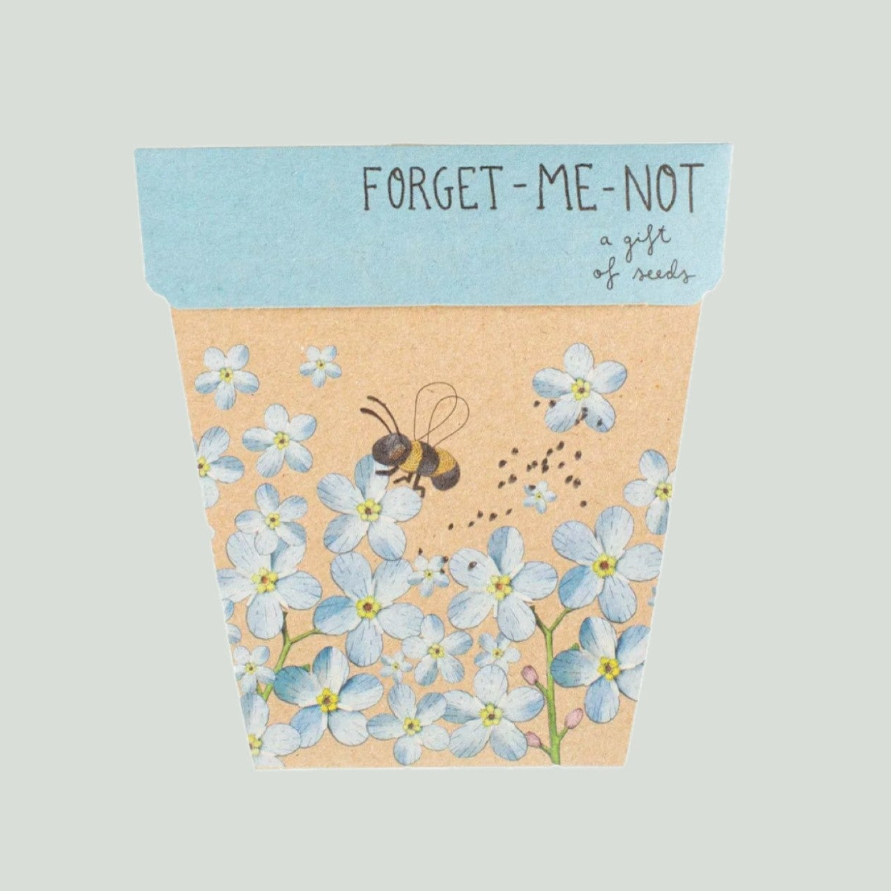 Forget me Not seedling cards
