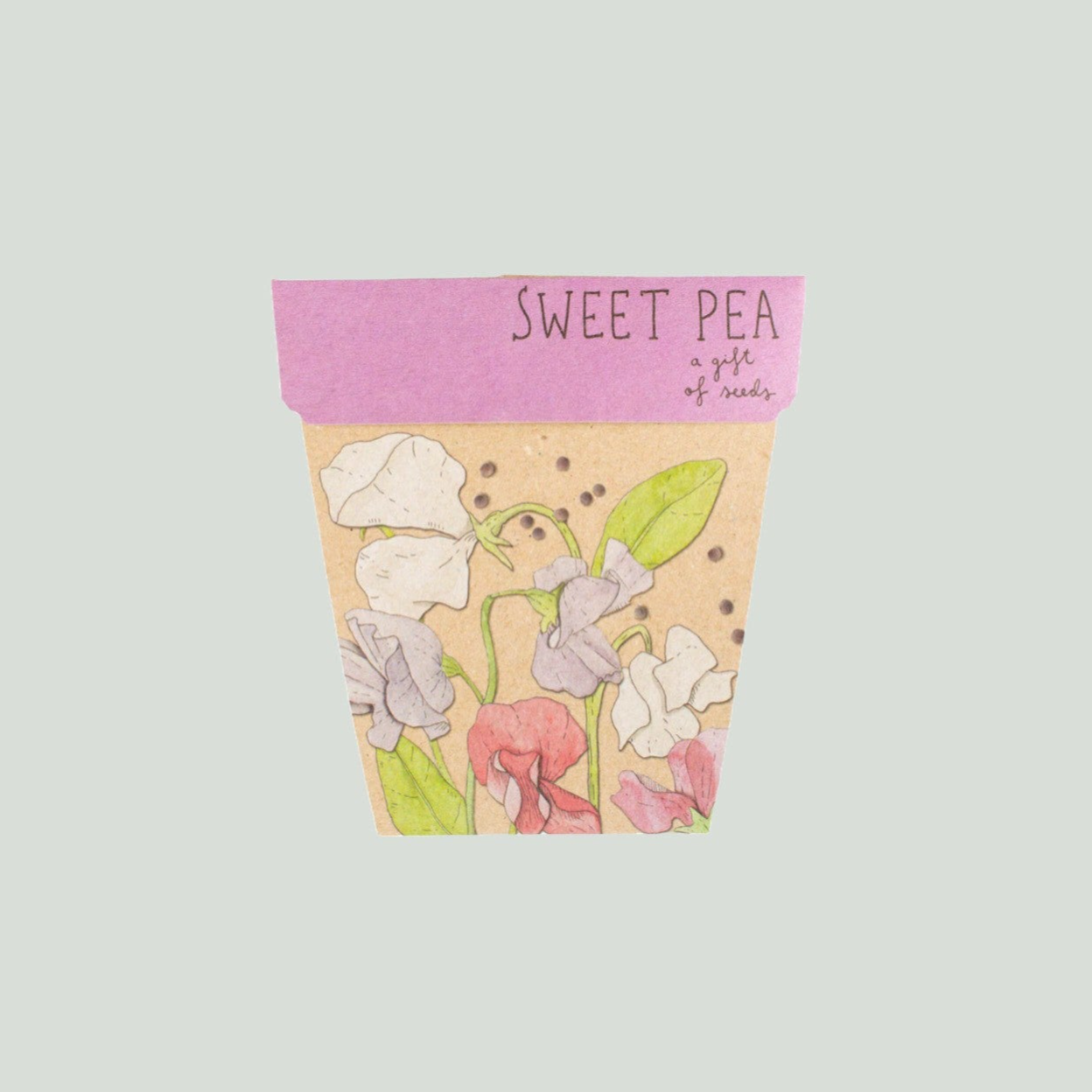 Sweet Pea seedling cards