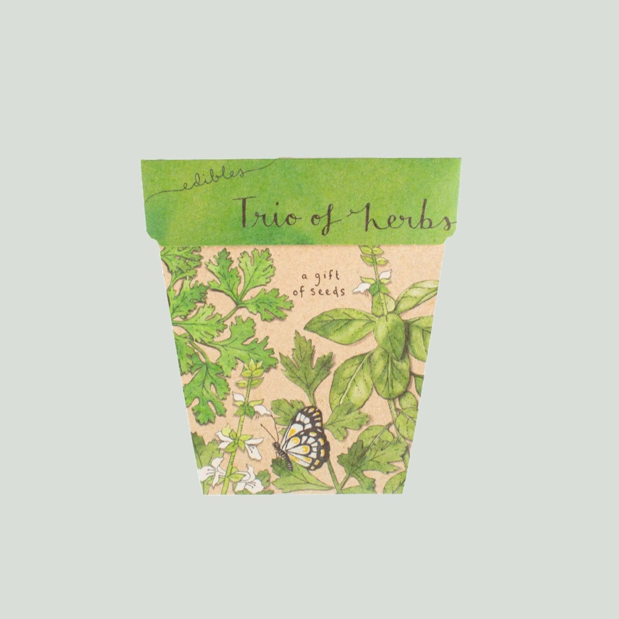 Trio of Herbs seedling cards
